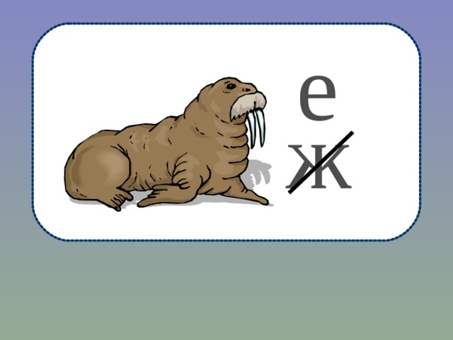 е ж 