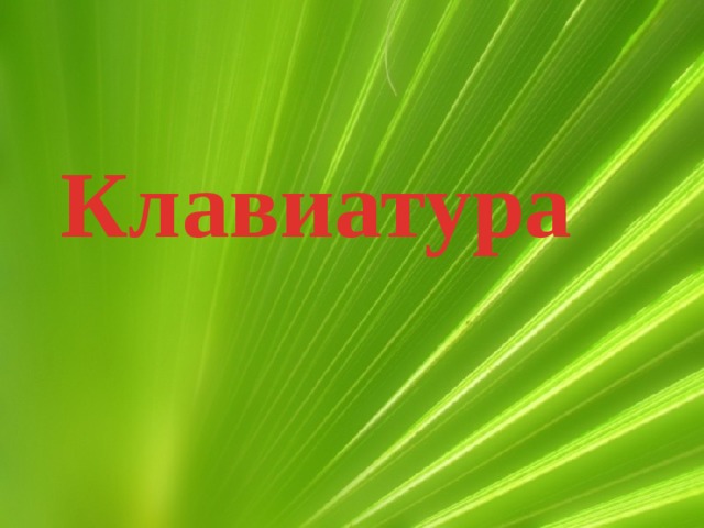 Клавиатура Современные компьютеры могут обрабатывать числовую, текстовую, графическую, звуковую и видеоинформацию. Для ввода в компьютер звуковой информации применяются микрофоны; сканеры, цифровые фотоаппараты и видеокамеры используются для ввода сложных графических изображений, фотографий и видеофильмов; числовая и текстовая информация также может быть введена в память компьютера с помощью сканера. Но для того чтобы успешно работать на компьютере, необходимо знать клавиатуру – важнейшее устройство ввода в память компьютера.  