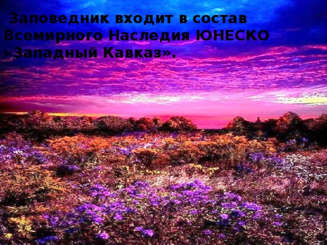  Заповедник входит в состав Всемирного Наследия ЮНЕСКО «Западный Кавказ».   