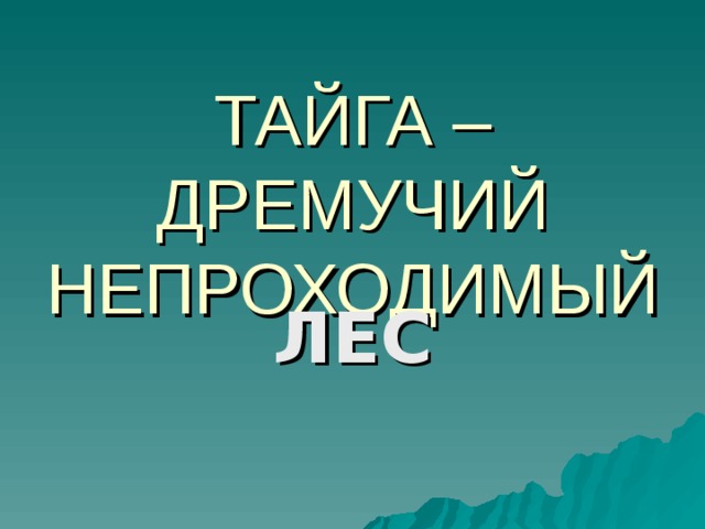 ТАЙГА – ДРЕМУЧИЙ НЕПРОХОДИМЫЙ ЛЕС 