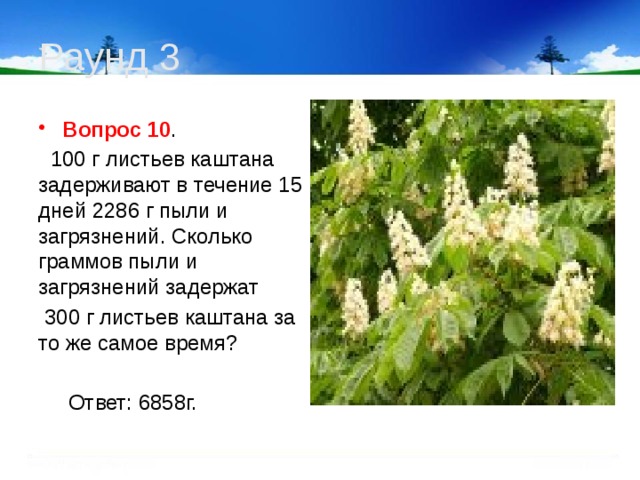 Раунд 3 Вопрос 10 .  100 г листьев каштана задерживают в течение 15 дней 2286 г пыли и загрязнений. Сколько граммов пыли и загрязнений задержат  300 г листьев каштана за то же самое время?  Ответ: 6858г.   