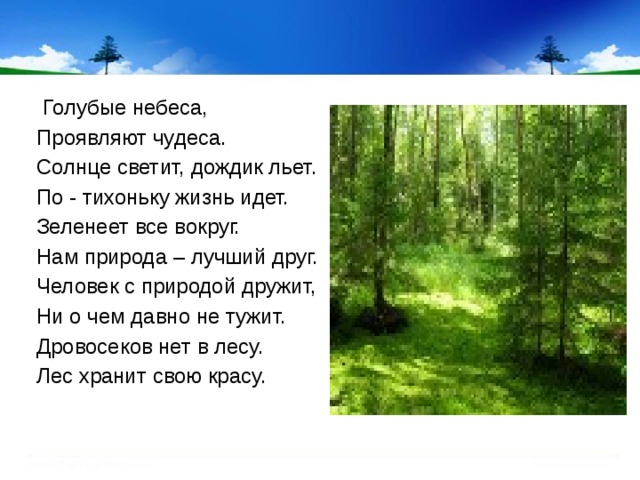  Голубые небеса, Проявляют чудеса. Солнце светит, дождик льет. По - тихоньку жизнь идет. Зеленеет все вокруг. Нам природа – лучший друг. Человек с природой дружит, Ни о чем давно не тужит. Дровосеков нет в лесу. Лес хранит свою красу. 