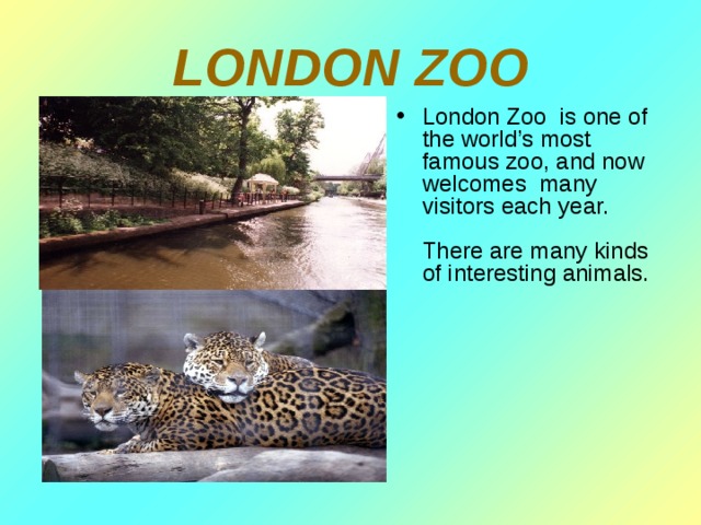 LONDON ZOO London Zoo is one of the world’s most famous zoo, and now welcomes many visitors each year.   There are many kinds of interesting animals. 