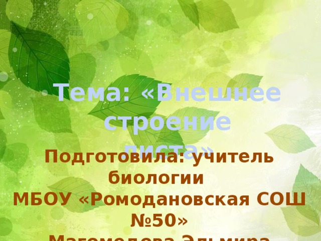П Тема: «Внешнее строение листа»   Подготовила: учитель биологии МБОУ «Ромодановская СОШ №50» Магомедова Эльмира Абубакаровна 
