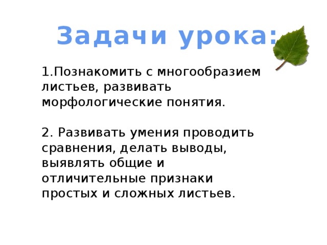 Задачи урока: 1.Познакомить с многообразием листьев, развивать морфологические понятия. 2. Развивать умения проводить сравнения, делать выводы, выявлять общие и отличительные признаки простых и сложных листьев. 