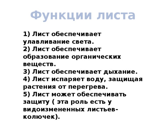 Функции листа 1) Лист обеспечивает улавливание света. 2) Лист обеспечивает образование органических веществ. 3) Лист обеспечивает дыхание. 4) Лист испаряет воду, защищая растения от перегрева. 5) Лист может обеспечивать защиту ( эта роль есть у видоизмененных листьев- колючек). 