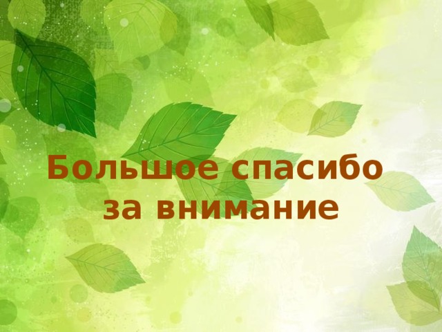 Большое спасибо за внимание 