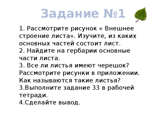 Задание №1 1. Рассмотрите рисунок « Внешнее строение листа». Изучите, из каких основных частей состоит лист. 2. Найдите на гербарии основные части листа. 3. Все ли листья имеют черешок? Рассмотрите рисунки в приложении. Как называются такие листья? 3.Выполните задание 33 в рабочей тетради. 4.Сделайте вывод. 