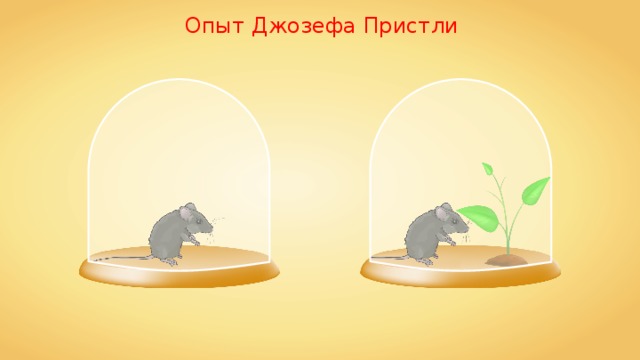 Опыт Джозефа Пристли 