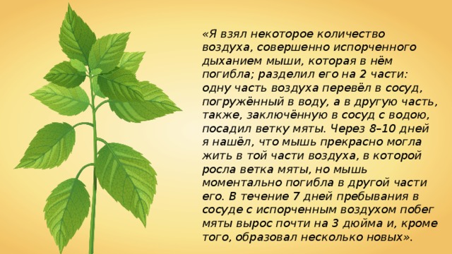 «Я взял некоторое количество воздуха, совершенно испорченного дыханием мыши, которая в нём погибла; разделил его на 2 части: одну часть воздуха перевёл в сосуд, погружённый в воду, а в другую часть, также, заключённую в сосуд с водою, посадил ветку мяты. Через 8–10 дней я нашёл, что мышь прекрасно могла жить в той части воздуха, в которой росла ветка мяты, но мышь моментально погибла в другой части его. В течение 7 дней пребывания в сосуде с испорченным воздухом побег мяты вырос почти на 3 дюйма и, кроме того, образовал несколько новых». 