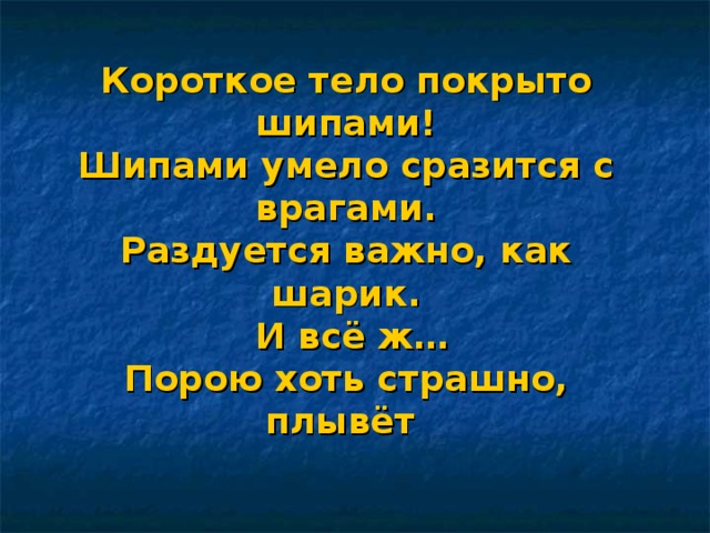 Короткое тело покрыто  шипами!  Шипами умело сразится с врагами.  Раздуется важно, как шарик.  И всё ж…  Порою хоть страшно, плывёт  