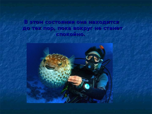  В этом состоянии она находится  до тех пор, пока вокруг не станет спокойно.   