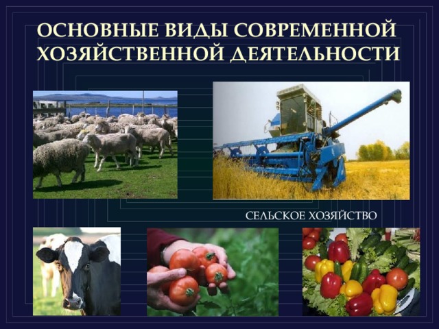 ОСНОВНЫЕ ВИДЫ СОВРЕМЕННОЙ ХОЗЯЙСТВЕННОЙ ДЕЯТЕЛЬНОСТИ СЕЛЬСКОЕ ХОЗЯЙСТВО 