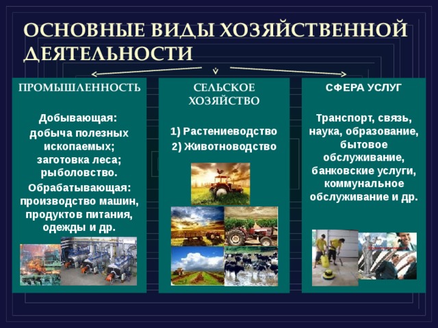 ОСНОВНЫЕ ВИДЫ ХОЗЯЙСТВЕННОЙ ДЕЯТЕЛЬНОСТИ ПРОМЫШЛЕННОСТЬ  Добывающая: добыча полезных ископаемых; заготовка леса; рыболовство. Обрабатывающая: производство машин, продуктов питания, одежды и др. СФЕРА УСЛУГ  СЕЛЬСКОЕ ХОЗЯЙСТВО  Транспорт, связь, наука, образование, бытовое обслуживание, банковские услуги, коммунальное обслуживание и др. 1) Растениеводство 2) Животноводство  