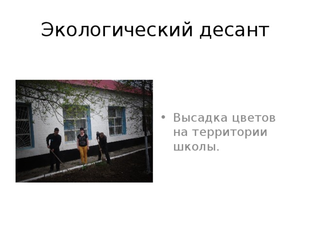 Экологический десант Высадка цветов на территории школы. 