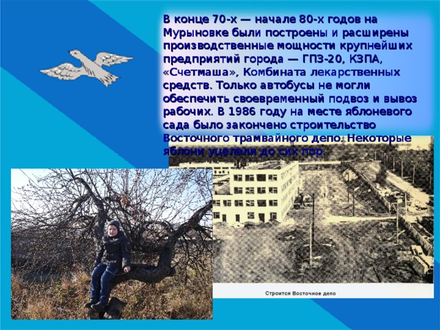 В конце 70-х — начале 80-х годов на Мурыновке были построены и расширены производственные мощности крупнейших предприятий города — ГПЗ-20, КЗПА, «Счетмаша», Комбината лекарственных средств. Только автобусы не могли обеспечить своевременный подвоз и вывоз рабочих. В 1986 году на месте яблоневого сада было закончено строительство Восточного трамвайного депо. Некоторые яблони уцелели до сих пор. 
