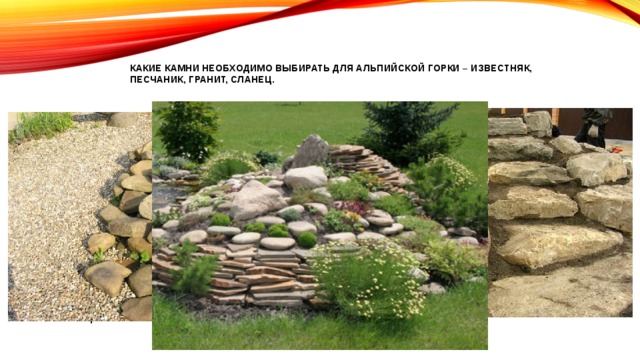 какие камни необходимо выбирать для альпийской горки – известняк, песчаник, гранит, сланец.   Камни для альпийской горки, в первую очередь, выполняют декоративную функцию. Наиболее часто сегодня при создании альпийских горок используются известняк, песчаник и гранит.   Если вы хотите посадить яркие цветы, камень лучше подобрать нейтрального цвета – он будет играть роль фона. При использовании не особенно выразительных растений, подберите яркие камни – на их фоне растения будут смотреться выразительнее, контрастнее. Имеет значение и высота горки – камни с острыми углами более уместны для высокой насыпи, а для равнинной композиции более подходят камни округлой формы. В водном альпинарии хорошо смотрится выложенный слоями песчаник. 