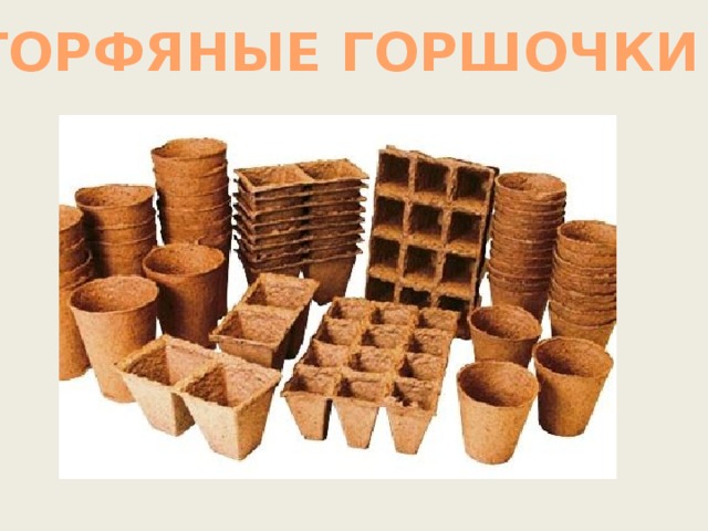 ТОРФЯНЫЕ ГОРШОЧКИ 