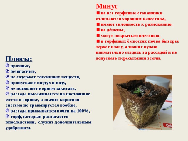Минус  не все торфяные стаканчики отличаются хорошим качеством,  имеют склонность к размоканию,  не дёшевы,  могут покрыться плесенью,  в торфяных ёмкостях почва быстрее теряет влагу, а значит нужно внимательно следить за рассадой и не допускать пересыхания земли. Плюсы:  прочные,  безопасные,  не содержат токсичных веществ,  пропускают воздух и воду,  не позволяет корням закисать,  рассада высаживается на постоянное место в горшке, а значит корневая система не травмируется вообще,  рассада приживается почти на 100%,  торф, который разлагается впоследствии, служит дополнительным удобрением. 