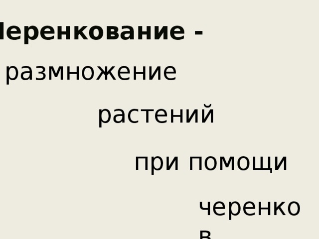 Черенкование - размножение растений при помощи черенков. 