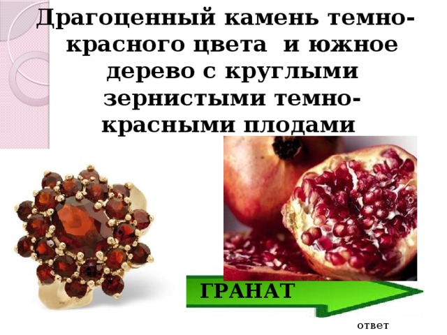 Драгоценный камень темно-красного цвета и южное дерево с круглыми зернистыми темно-красными плодами ГРАНАТ ответ 