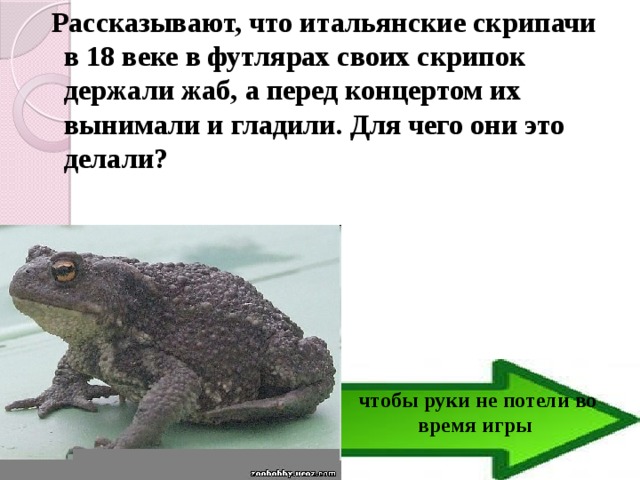 Рассказывают, что итальянские скрипачи в 18 веке в футлярах своих скрипок держали жаб, а перед концертом их вынимали и гладили. Для чего они это делали? чтобы руки не потели во время игры 