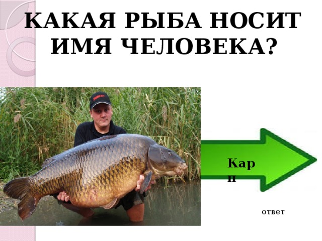 КАКАЯ РЫБА НОСИТ ИМЯ ЧЕЛОВЕКА? Карп ответ 