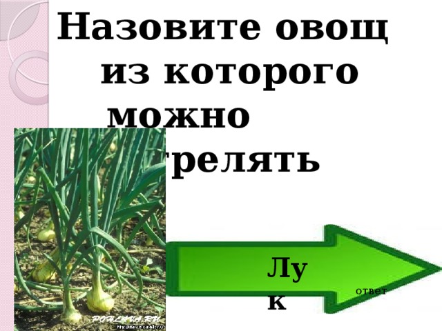 Назовите овощ из которого можно стрелять  Лук ответ 