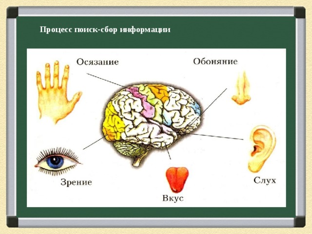 Процесс поиск-сбор информации 