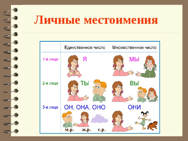 Личные местоимения м.р. ж.р. с.р. 
