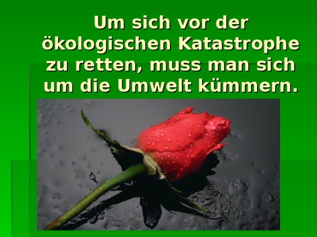 Um sich vor der ökologischen Katastrophe zu retten, muss man sich um die Umwelt kümmern.