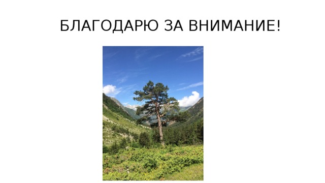 БЛАГОДАРЮ ЗА ВНИМАНИЕ!  