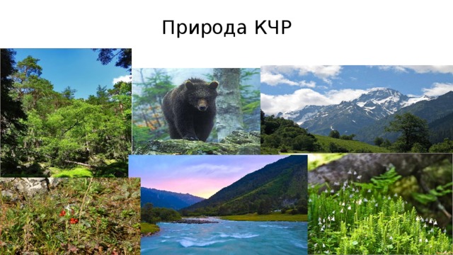 Природа КЧР  