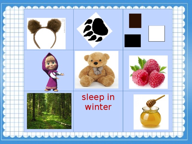 sleep in winter  