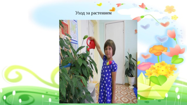 Уход за растением 