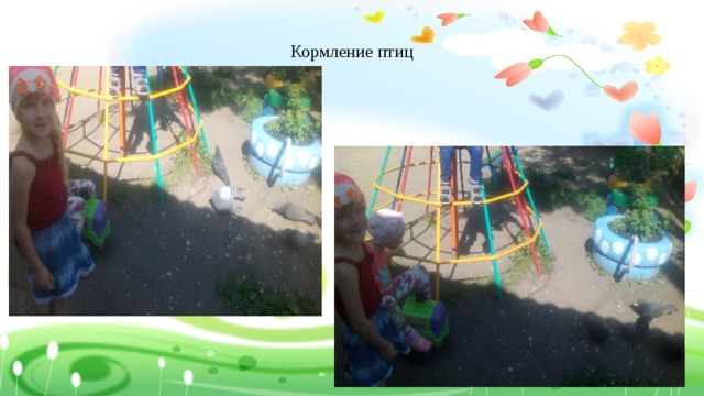 Кормление птиц 
