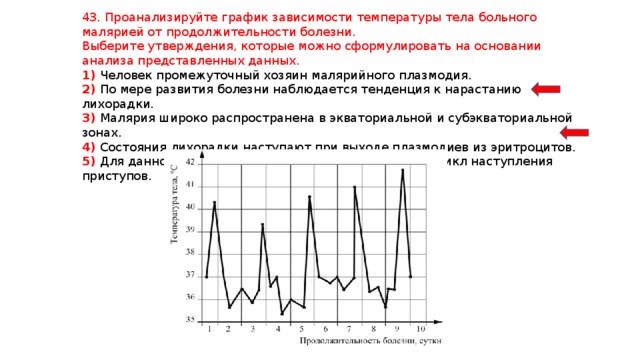 43. Проанализируйте график зависимости температуры тела больного малярией от продолжительности болезни. Выберите утверждения, которые можно сформулировать на основании анализа представленных данных. 1) Человек промежуточный хозяин малярийного плазмодия. 2) По мере развития болезни наблюдается тенденция к нарастанию лихорадки. 3) Малярия широко распространена в экваториальной и субэкваториальной зонах. 4) Состояния лихорадки наступают при выходе плазмодиев из эритроцитов. 5) Для данной формы малярии характерен 48-часовой цикл наступления приступов. 