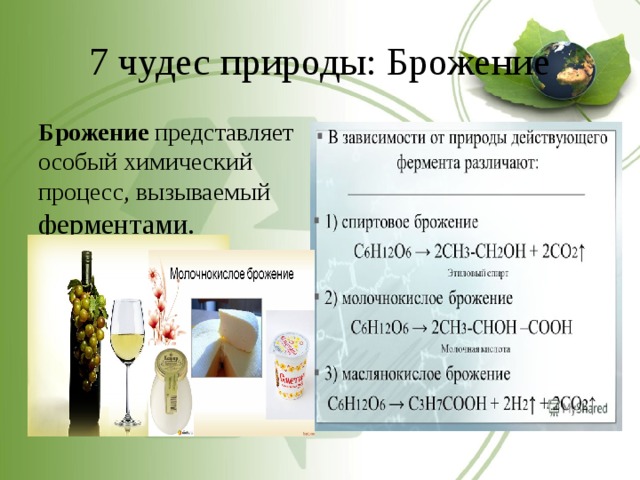 7 чудес природы: Брожение Брожение представляет особый химический процесс, вызываемый ферментами. 