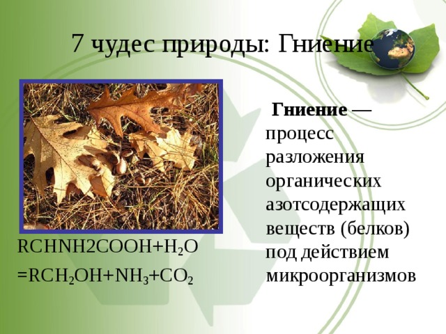 7 чудес природы: Гниение RCHNH2COOH+H 2 O =RCH 2 OH+NH 3 +CO 2   Гниение — процесс разложения органических азотсодержащих веществ (белков) под действием микроорганизмов 