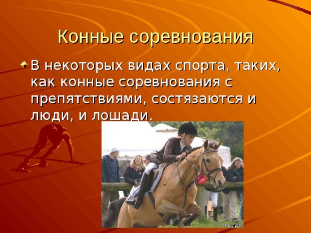 Конные соревнования В некоторых видах спорта, таких, как конные соревнования с препятствиями, состязаются и люди, и лошади. 