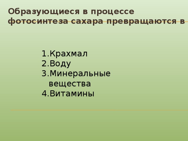 Образующиеся в процессе фотосинтеза сахара превращаются в Крахмал Воду Минеральные вещества Витамины 