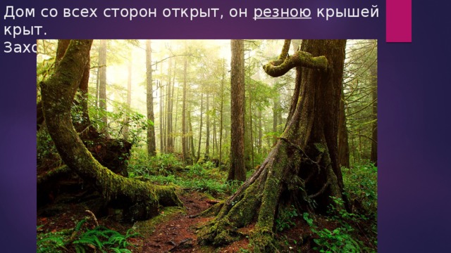 Дом со всех сторон открыт, он резною крышей крыт.  Заходи в зелёный дом, чудеса увидишь в нём! 