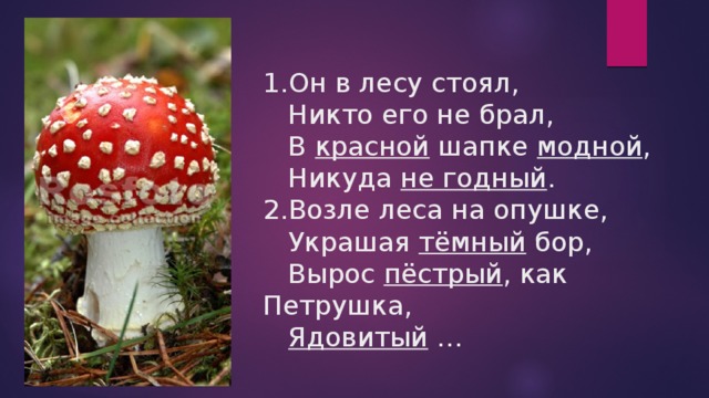 1.Он в лесу стоял,  Никто его не брал,  В красной шапке модной ,  Никуда не годный .  2.Возле леса на опушке,  Украшая тёмный бор,  Вырос пёстрый , как Петрушка,   Ядовитый … 
