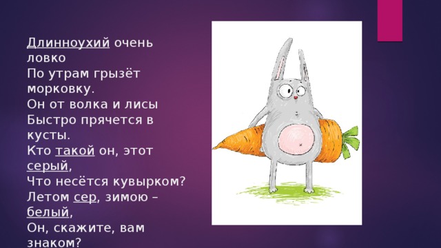 Длинноухий очень ловко  По утрам грызёт морковку.  Он от волка и лисы  Быстро прячется в кусты.  Кто такой он, этот серый ,  Что несётся кувырком?  Летом сер , зимою – белый ,  Он, скажите, вам знаком? 