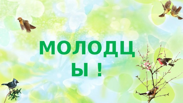 МОЛОДЦЫ ! 