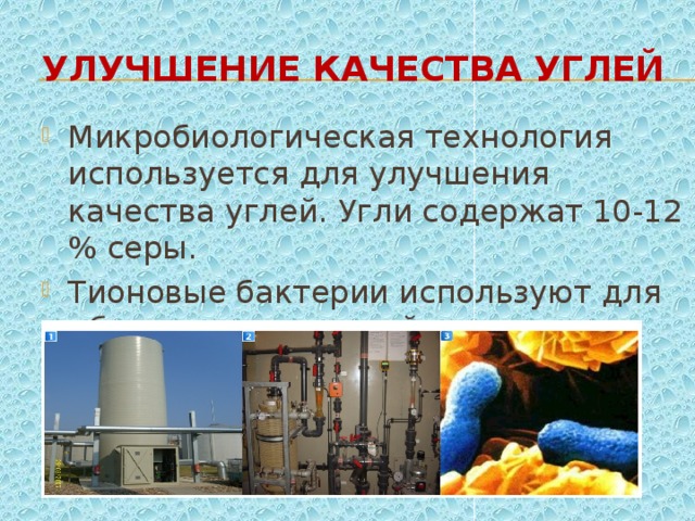 Улучшение качества углей Микробиологическая технология используется для улучшения качества углей. Угли содержат 10-12 % серы. Тионовые бактерии используют для обессеривания углей. 