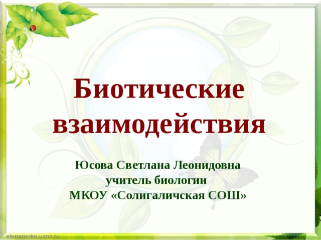 Биотические взаимодействия Юсова Светлана Леонидовна учитель биологии МКОУ «Солигаличская СОШ» 