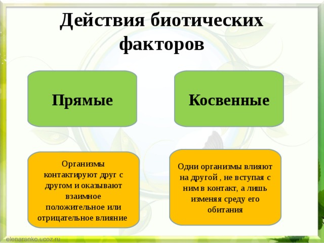 Действия биотических факторов Прямые Косвенные Одни организмы влияют на другой , не вступая с ним в контакт, а лишь изменяя среду его обитания Организмы контактируют друг с другом и оказывают взаимное положительное или отрицательное влияние 