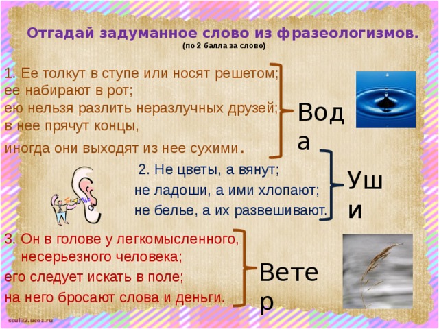 Отгадай задуманное слово из фразеологизмов.  (по 2 балла за слово) 1. Ее толкут в ступе или носят решетом; ее набирают в рот; ею нельзя разлить неразлучных друзей; в нее прячут концы, иногда они выходят из нее сухими . Вода ├  2. Не цветы, а вянут; не ладоши, а ими хлопают; не белье, а их развешивают. Уши 3. Он в голове у легкомысленного, несерьезного человека; его следует искать в поле; на него бросают слова и деньги. Ветер 