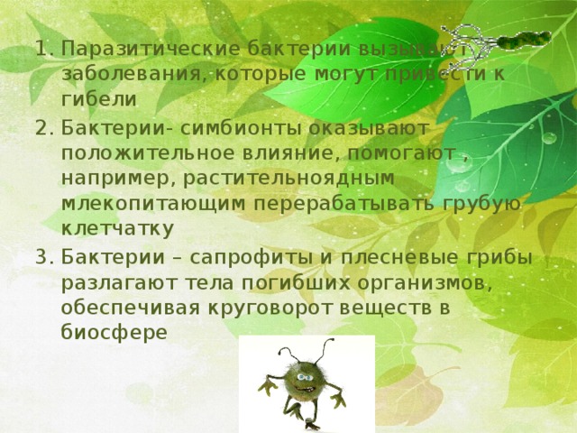 Паразитические бактерии вызывают заболевания, которые могут привести к гибели Бактерии- симбионты оказывают положительное влияние, помогают , например, растительноядным млекопитающим перерабатывать грубую клетчатку Бактерии – сапрофиты и плесневые грибы разлагают тела погибших организмов, обеспечивая круговорот веществ в биосфере 